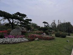 -唐城墙遗址公园