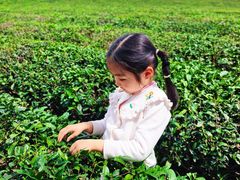 -宜兴龙背山森林公园