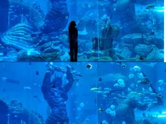 -波塞冬旅游度假区