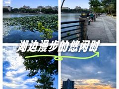 -武汉大学中南医院(总院区)