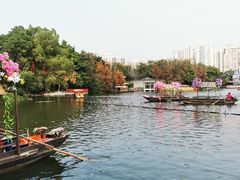 -荔湾湖公园