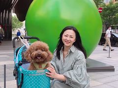 -新世界大丸百货