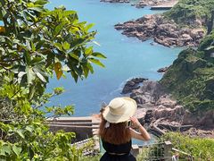 -枸杞岛