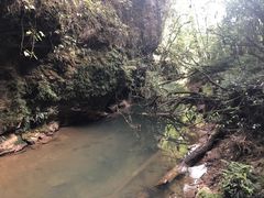 -怀托摩萤火虫洞