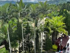 -墨江北回归线标志园