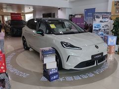 -上汽荣威体验中心(徐汇东安路店)