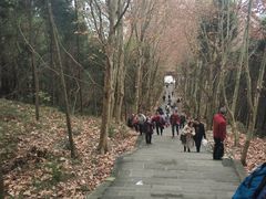 -窦圌山风景区