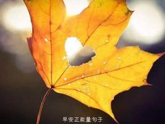 -海底捞火锅(奥山世纪城店)