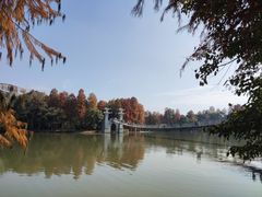 -东湖落雁景区