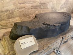 -白鹤梁水下博物馆