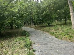 -东园小馆·早茶·淮扬小炒(宋夹城店)