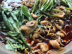 -都江堰石锅鱼