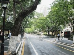 -颐和路民国时期公馆风貌区