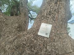 -清漾毛氏文化村