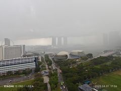 -新加坡瑞士史丹福酒店