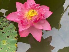 -苏州河梦清园环保主题公园