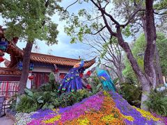 -翠湖公园