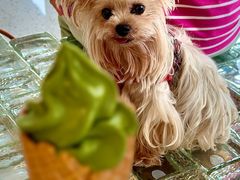 -% Arabica阿拉比卡咖啡(罗湖万象城店)