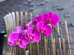 -厦门万丽酒店·R Bar