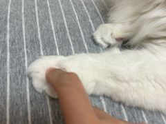 -HONGA HONGA雄家(曹路店)