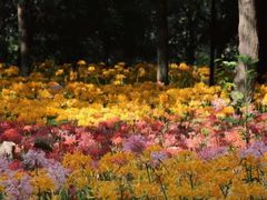 -小钱鱼馆(富春路店)