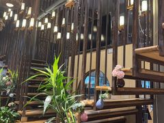 -滇铺子·云南特色菜·第九届野生菌美食节(东风东路c86店)