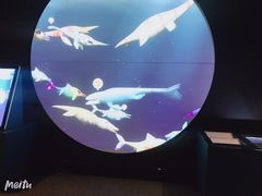 -澳大利亚国家海事博物馆