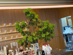 -代数学家algebraist coffee(亲橙里购物中心店)