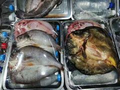 -新疆风味冷水鱼庄(友谊峰路店)