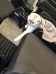 -D.z Salon 无痕接发潮店