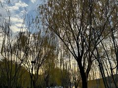 -羊山湖公园
