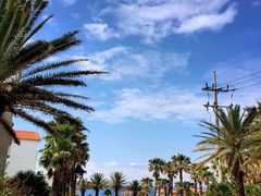 -龙头岩(Dragon Head Rock)