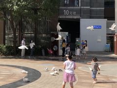 -中粮·祥云小镇
