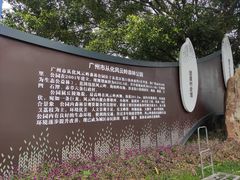 -风云岭森林公园