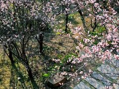 -草庵摩尼教遗址公园