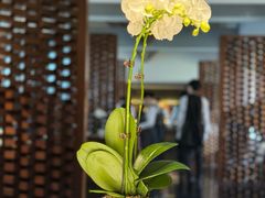 -京兆尹(雍和宫店)