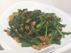 -品泉餐厅·大盆鱼·走地鸡