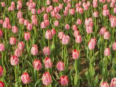 -长春公园(普阳街道)