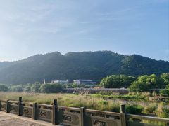 -溪口-滕头旅游景区