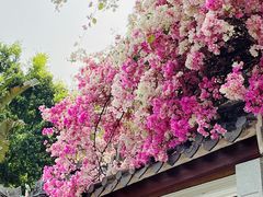 -深圳国际园林花卉博览园