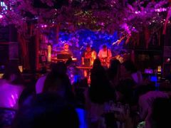 -周庄红庭演艺酒吧