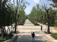 -迎泽公园