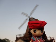 -大塘金香草谷