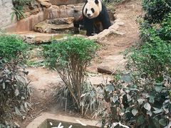 -石排湾郊野公园