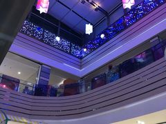 -紫荆广场·花漫里