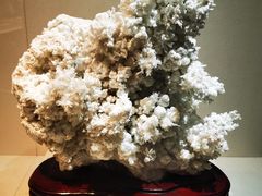 -安徽省地质博物馆