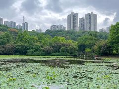 -龙头寺公园