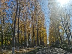 -东升八家郊野公园
