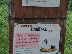 -钏路市丹顶鹤自然公园