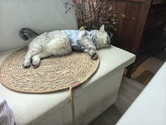 -小时光咖啡馆(北锣鼓巷店)